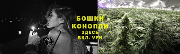 стаф Новый Уренгой