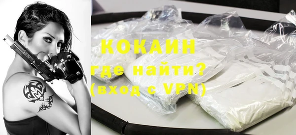 прущие грибы Лабытнанги