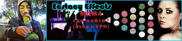 прущие грибы Лабытнанги