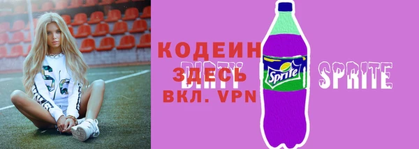 прущие грибы Лабытнанги