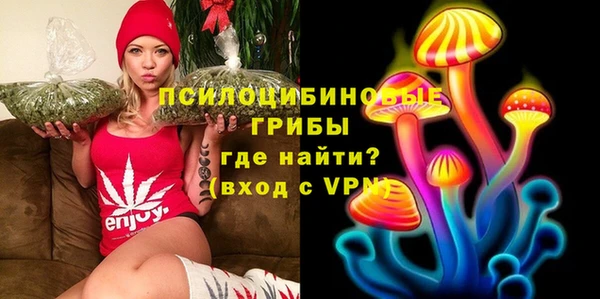 бутират Кукмор