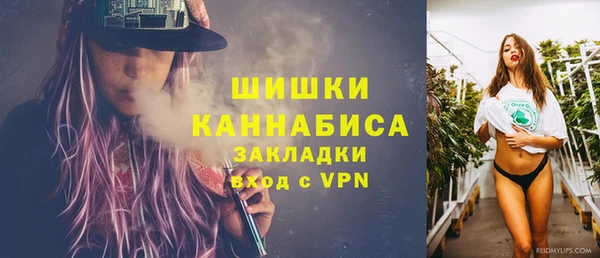 Альфа ПВП Ладушкин