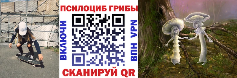 ссылка на мегу как войти  Спас-Клепики  Псилоцибиновые грибы GOLDEN TEACHER  где продают  